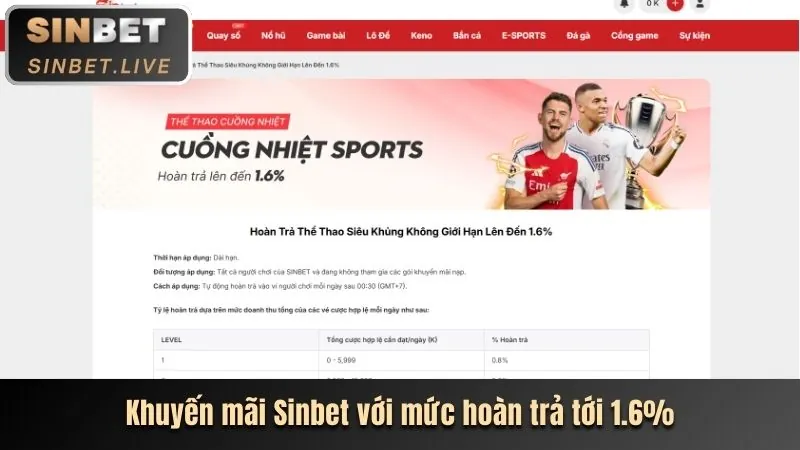 Mẹo cá cược thể thao Wibet